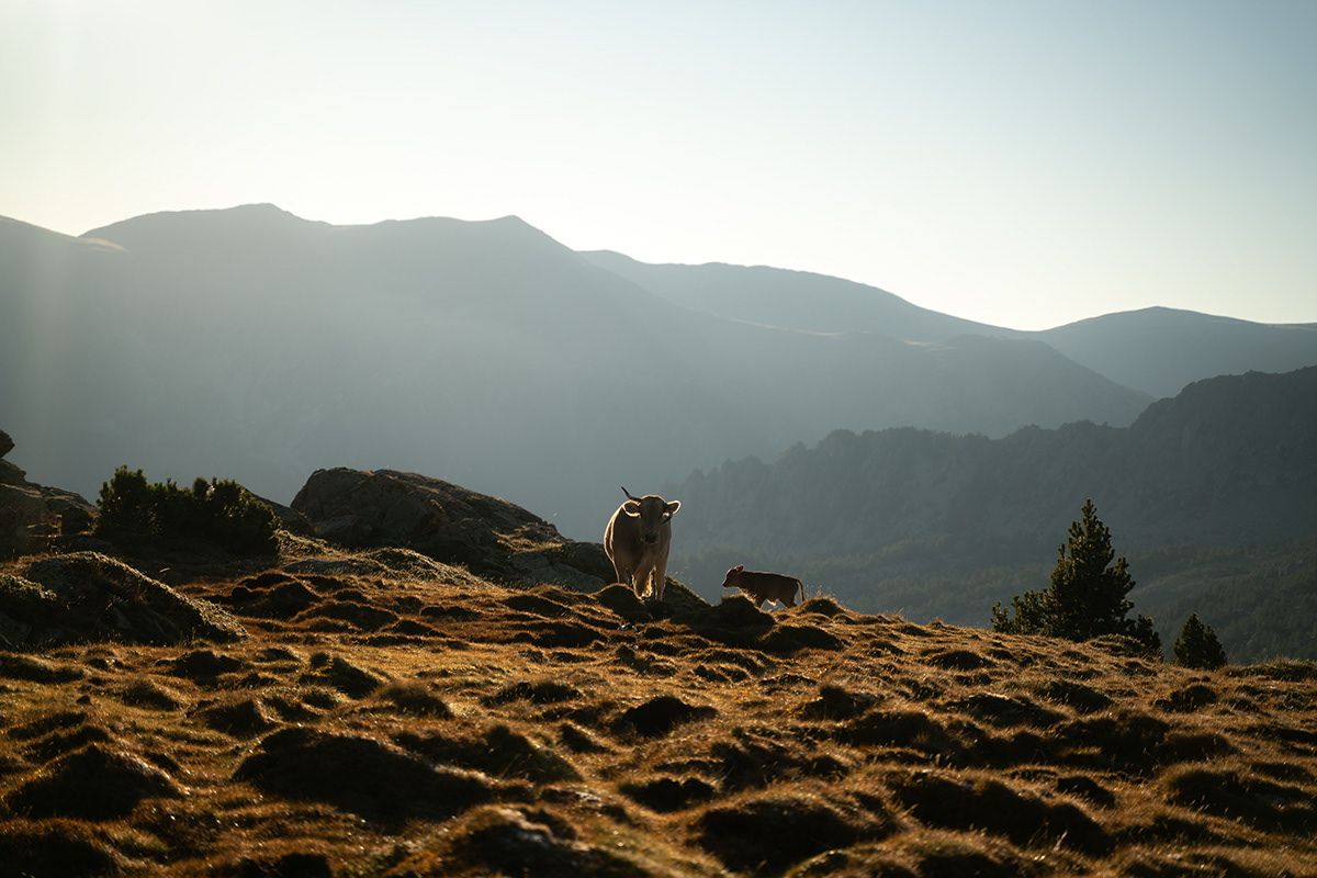 Andorra, Andorra. Photograph by Jonathan Byrne.