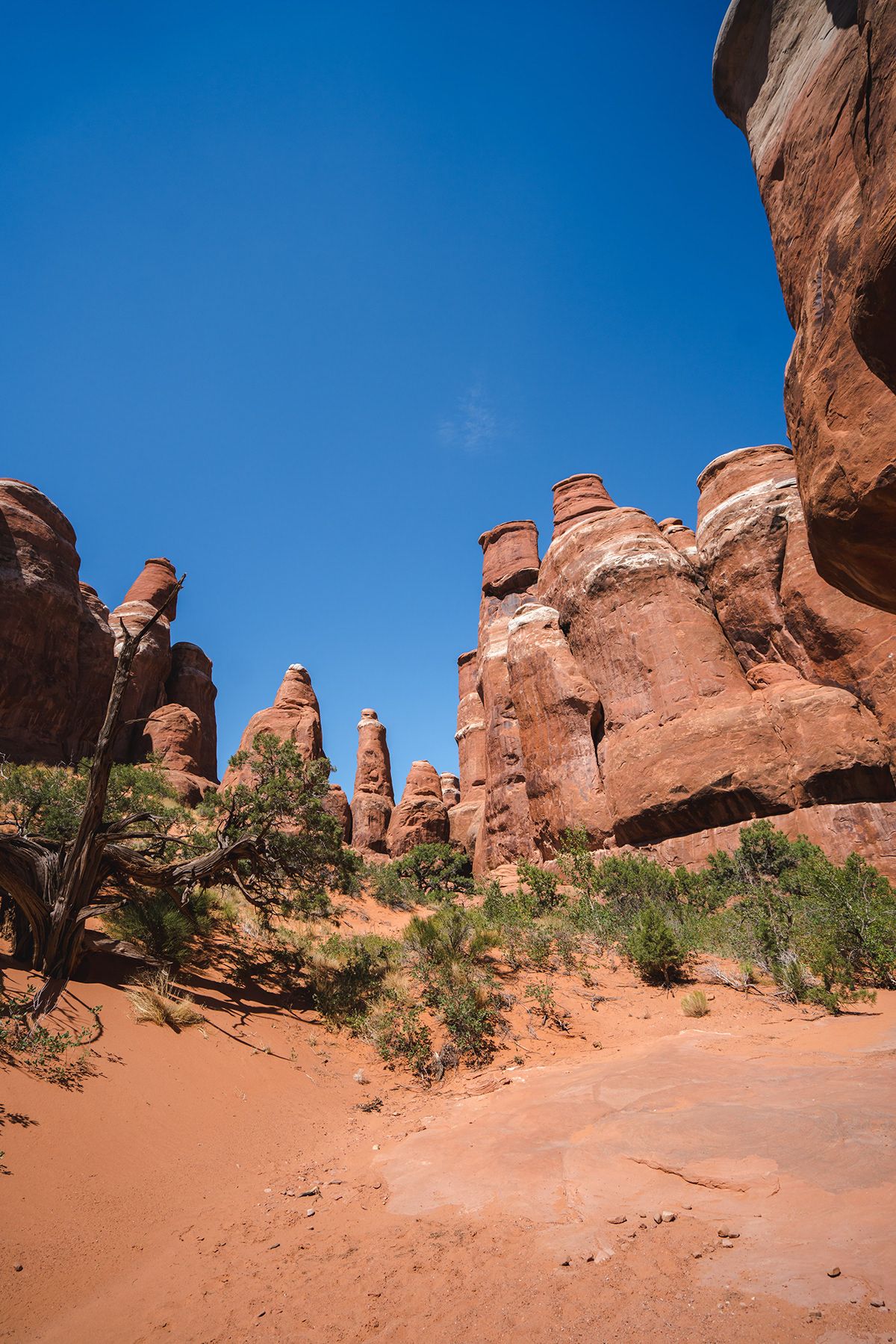 Arches, USA. Photograph by Jonathan Byrne.