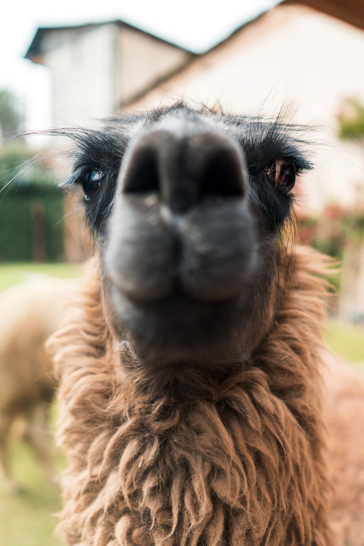 Arequipa, Peru. Photograph by Jonathan Byrne.