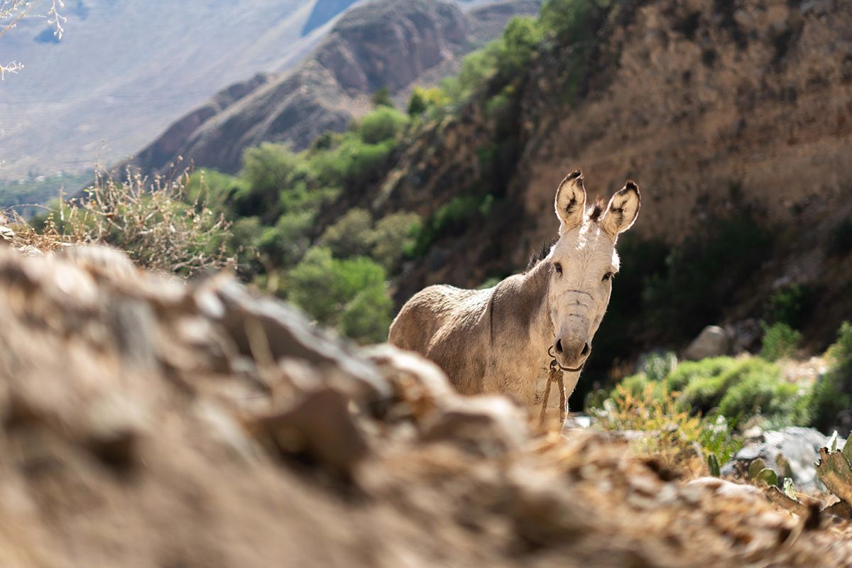 Arequipa, Peru. Photograph by Jonathan Byrne.