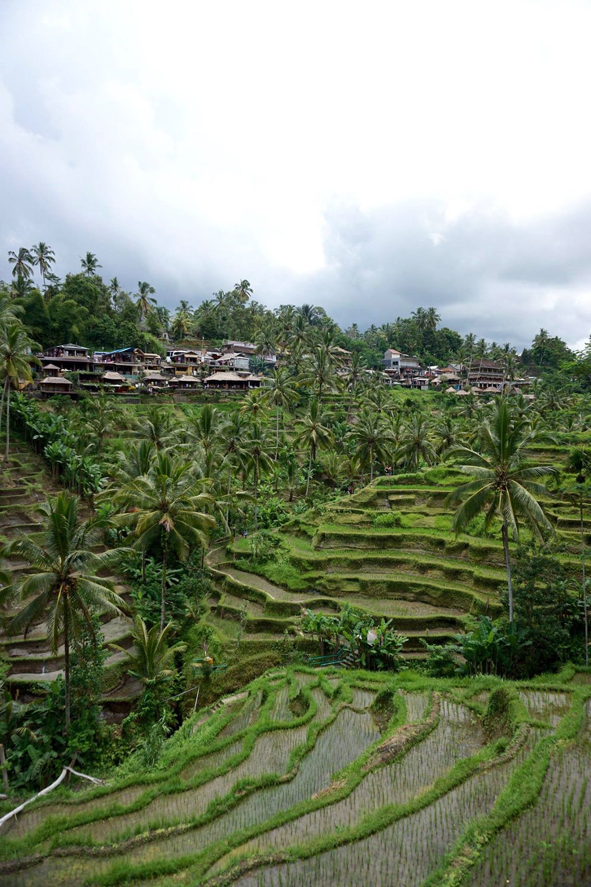 Bali, Indonesia. Photograph by Jonathan Byrne.