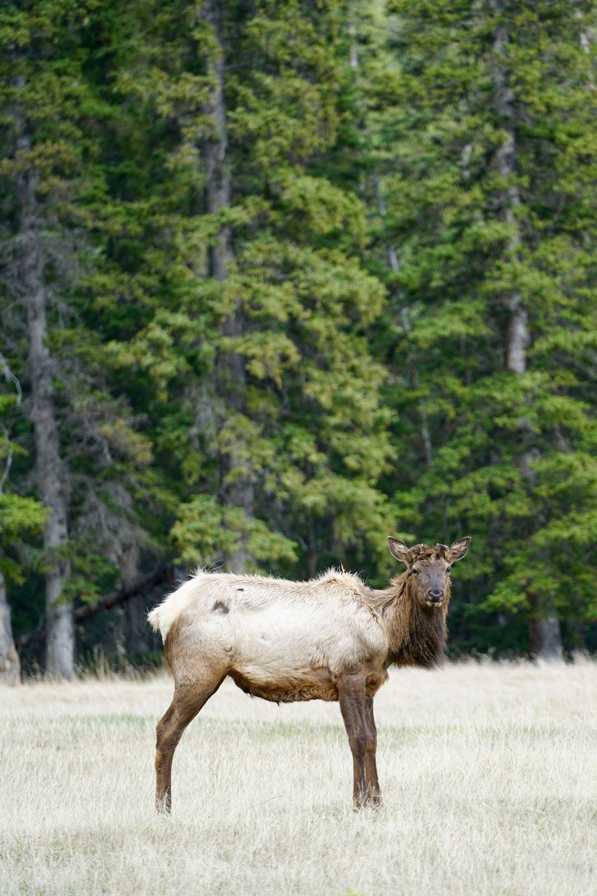 Banff, Canada. Photograph by Jonathan Byrne.