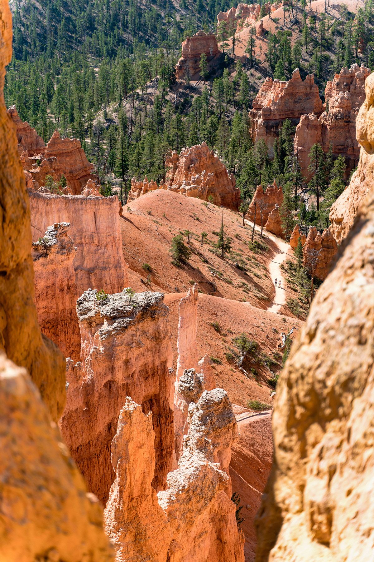 Bryce Canyon, USA. Photograph by Jonathan Byrne.