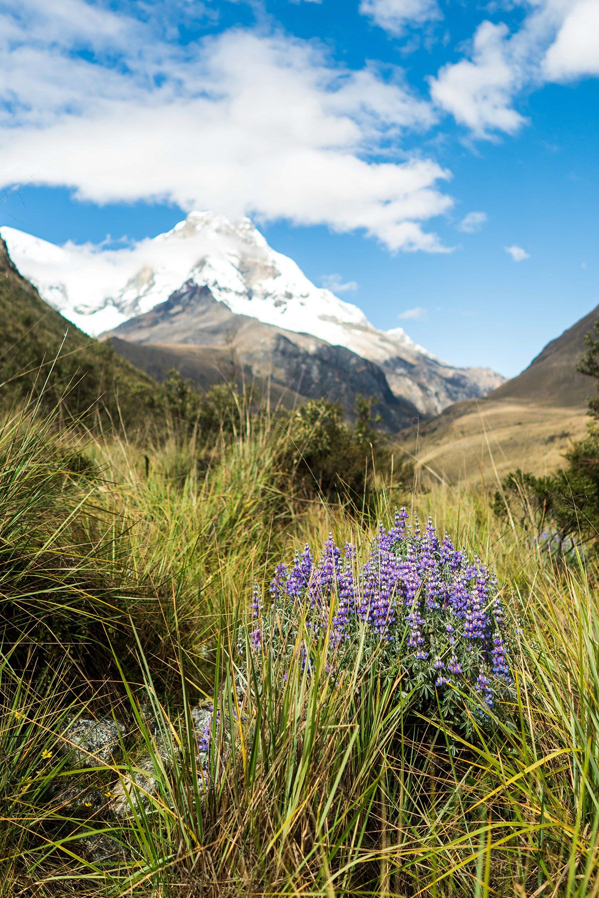 Huaraz, Peru. Photograph by Jonathan Byrne.