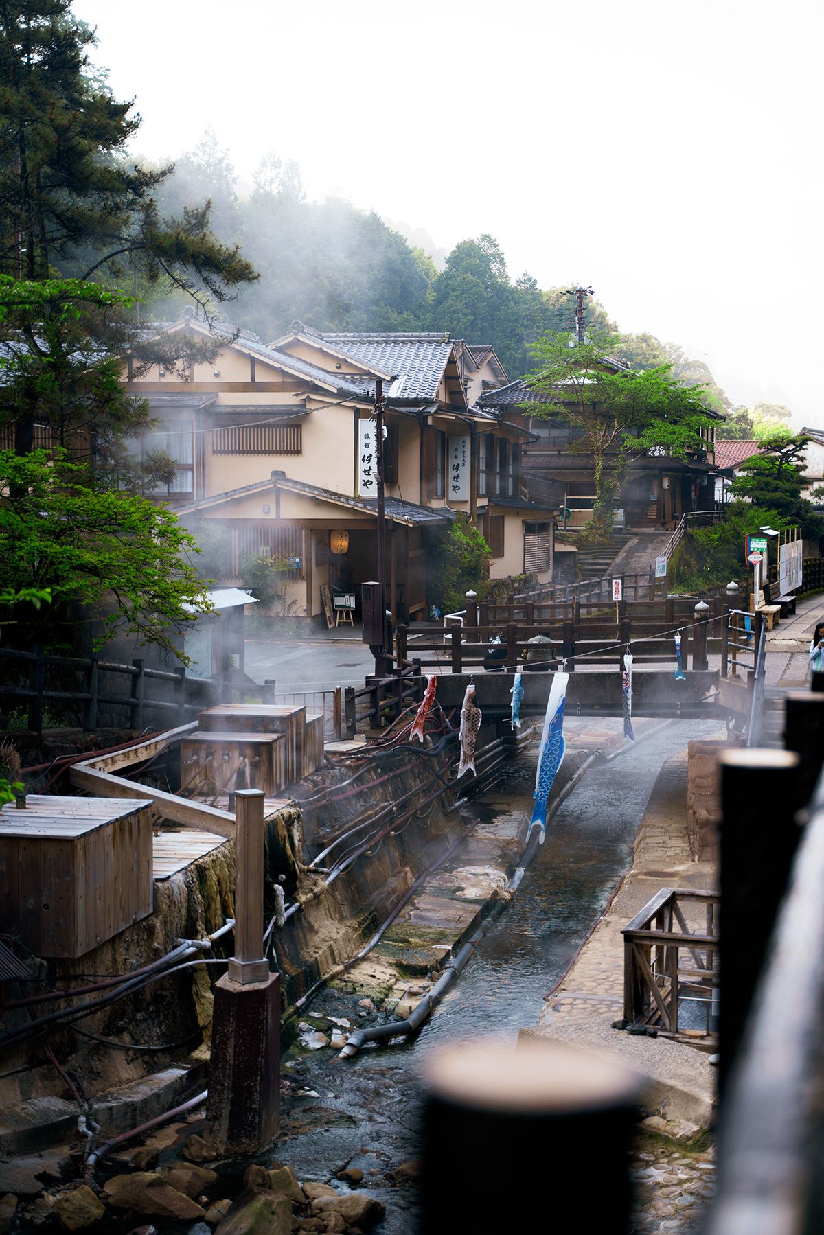 Kumano Kodo, Japan. Photograph by Jonathan Byrne.