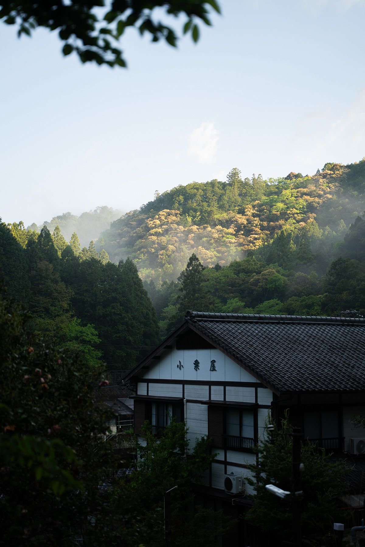 Kumano Kodo, Japan. Photograph by Jonathan Byrne.