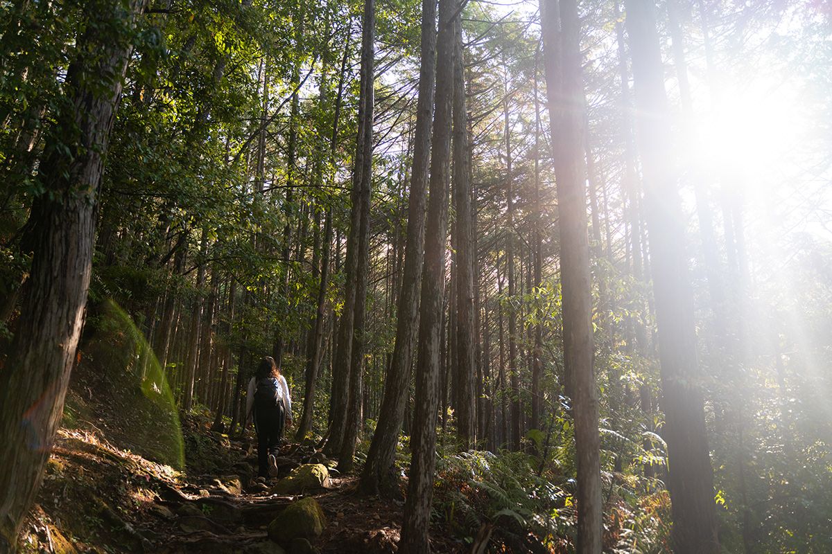 Kumano Kodo, Japan. Photograph by Jonathan Byrne.
