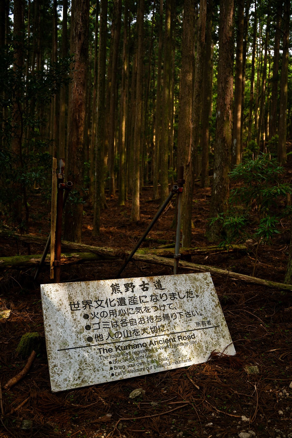 Kumano Kodo, Japan. Photograph by Jonathan Byrne.