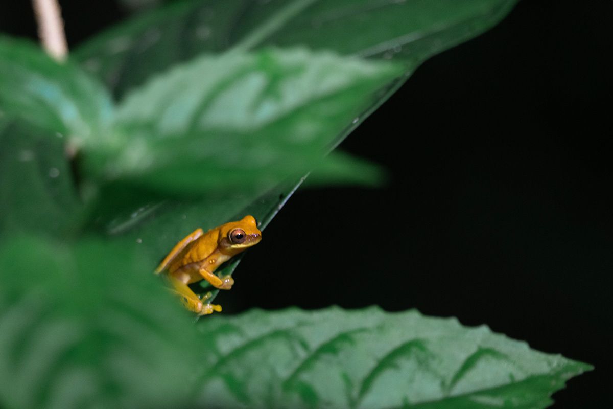 Manuel Antonio, Costa Rica. Photograph by Jonathan Byrne.