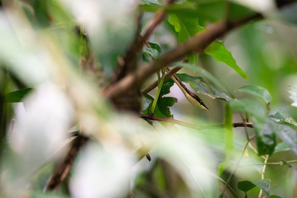 Manuel Antonio, Costa Rica. Photograph by Jonathan Byrne.