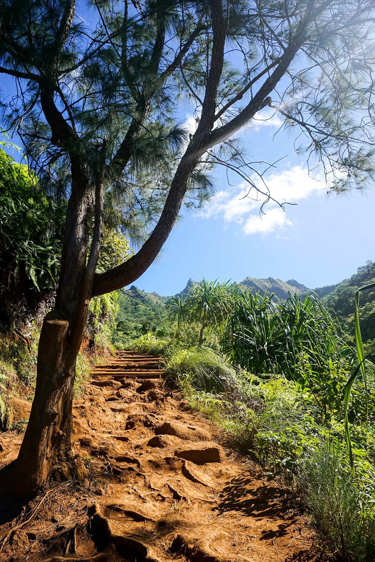 Maui, USA. Photograph by Jonathan Byrne.