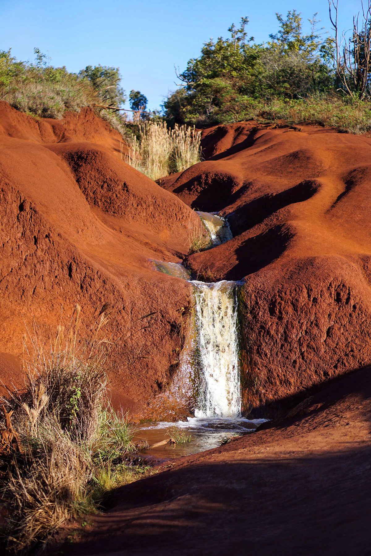 Maui, USA. Photograph by Jonathan Byrne.