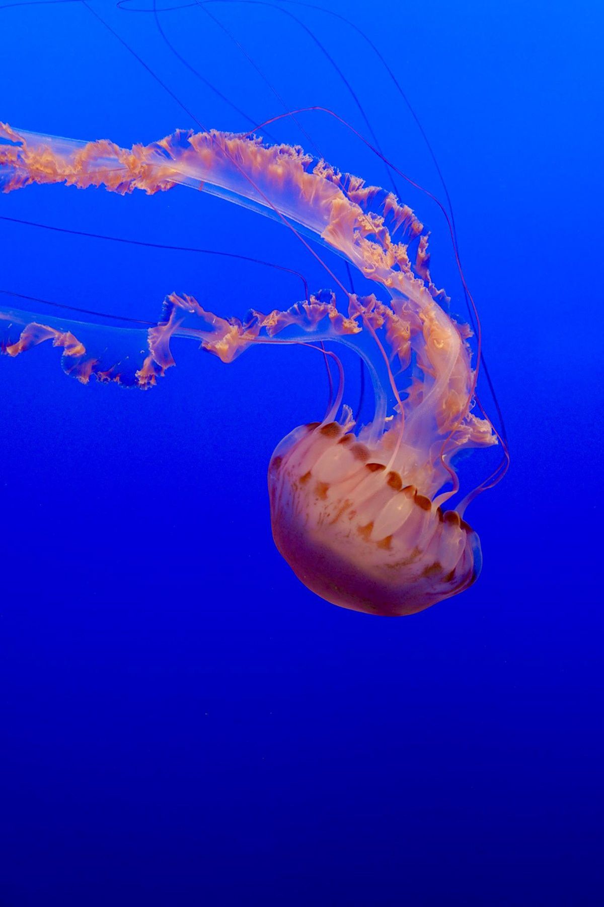 Monterey, United States. Photograph by Jonathan Byrne.