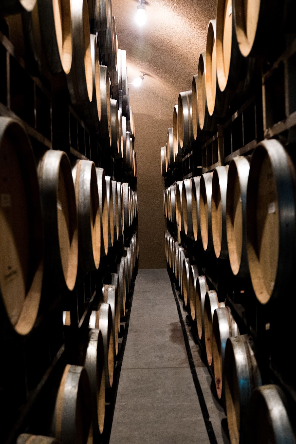 Napa Valley, USA. Photograph by Jonathan Byrne.