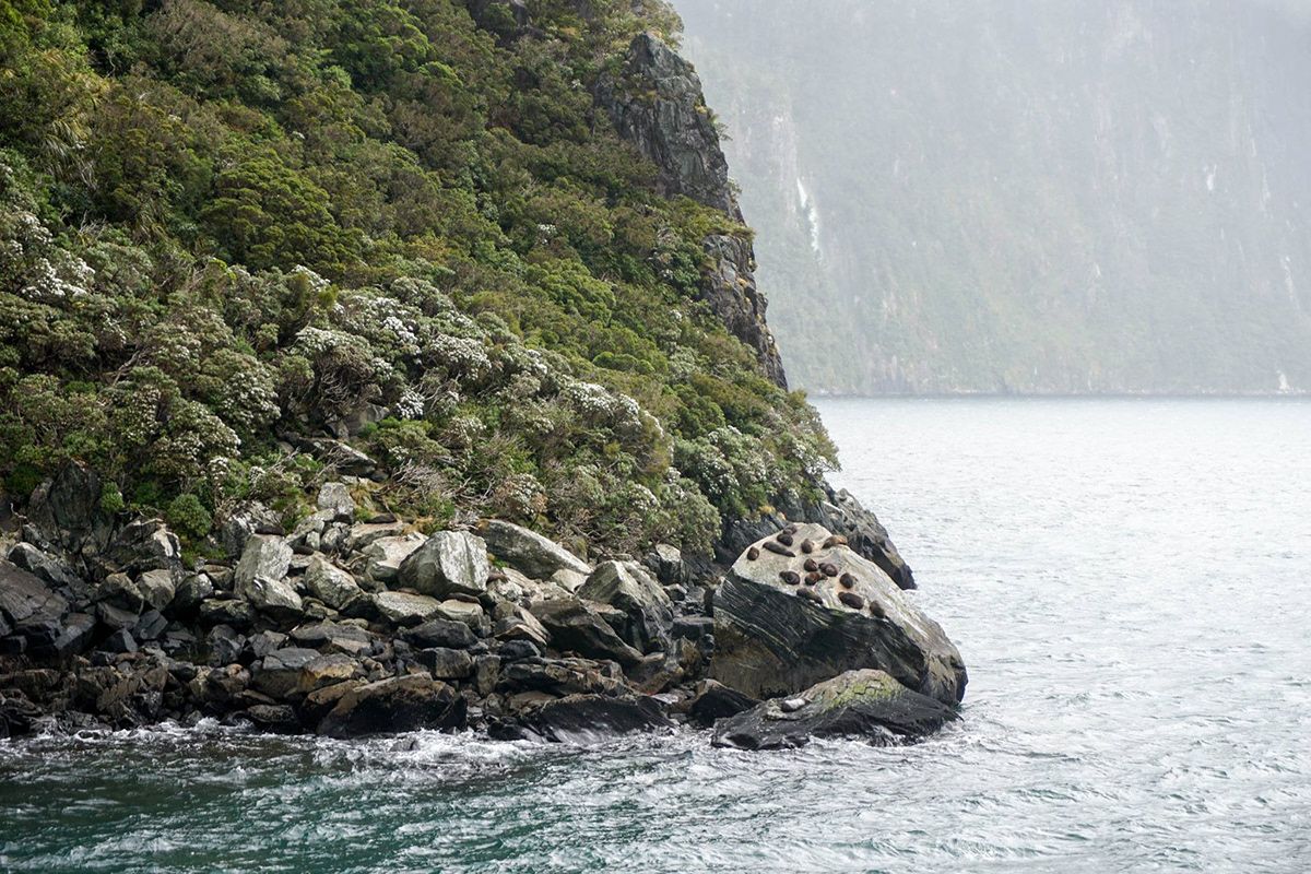 New Zealand, New Zealand. Photograph by Jonathan Byrne.