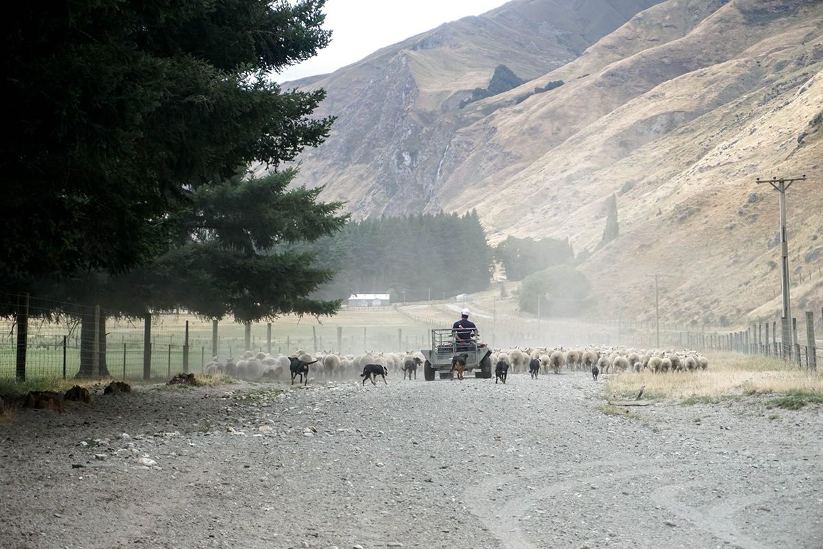 New Zealand, New Zealand. Photograph by Jonathan Byrne.