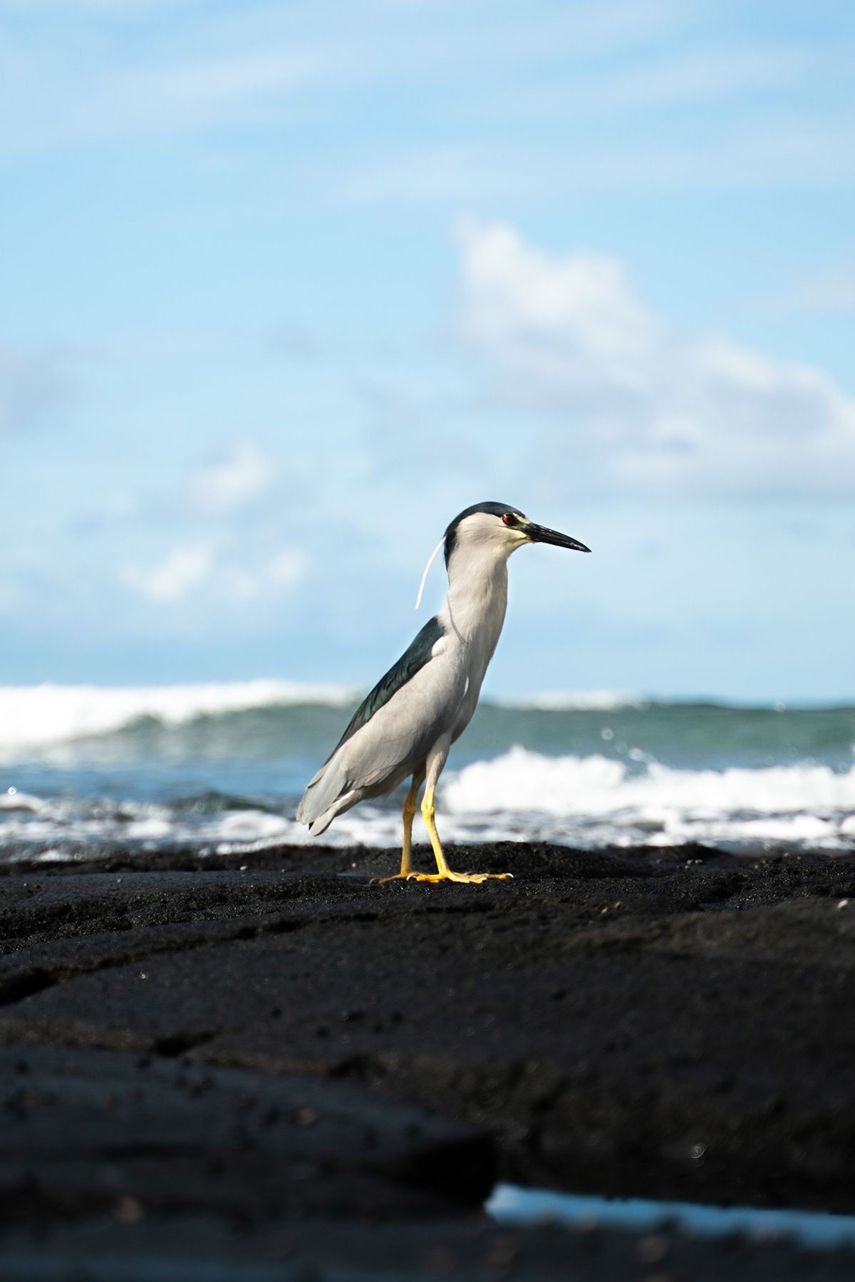 Oahu, USA. Photograph by Jonathan Byrne.