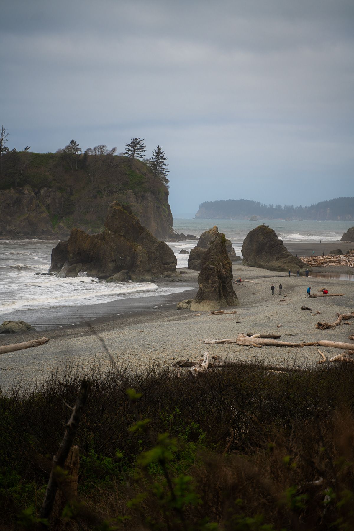 Olympic, USA. Photograph by Jonathan Byrne.