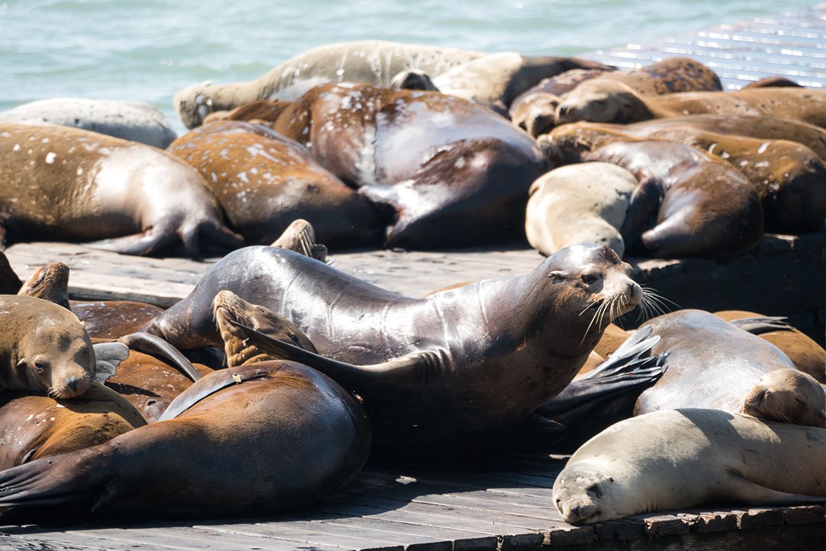 San Francisco, United States. Photograph by Jonathan Byrne.