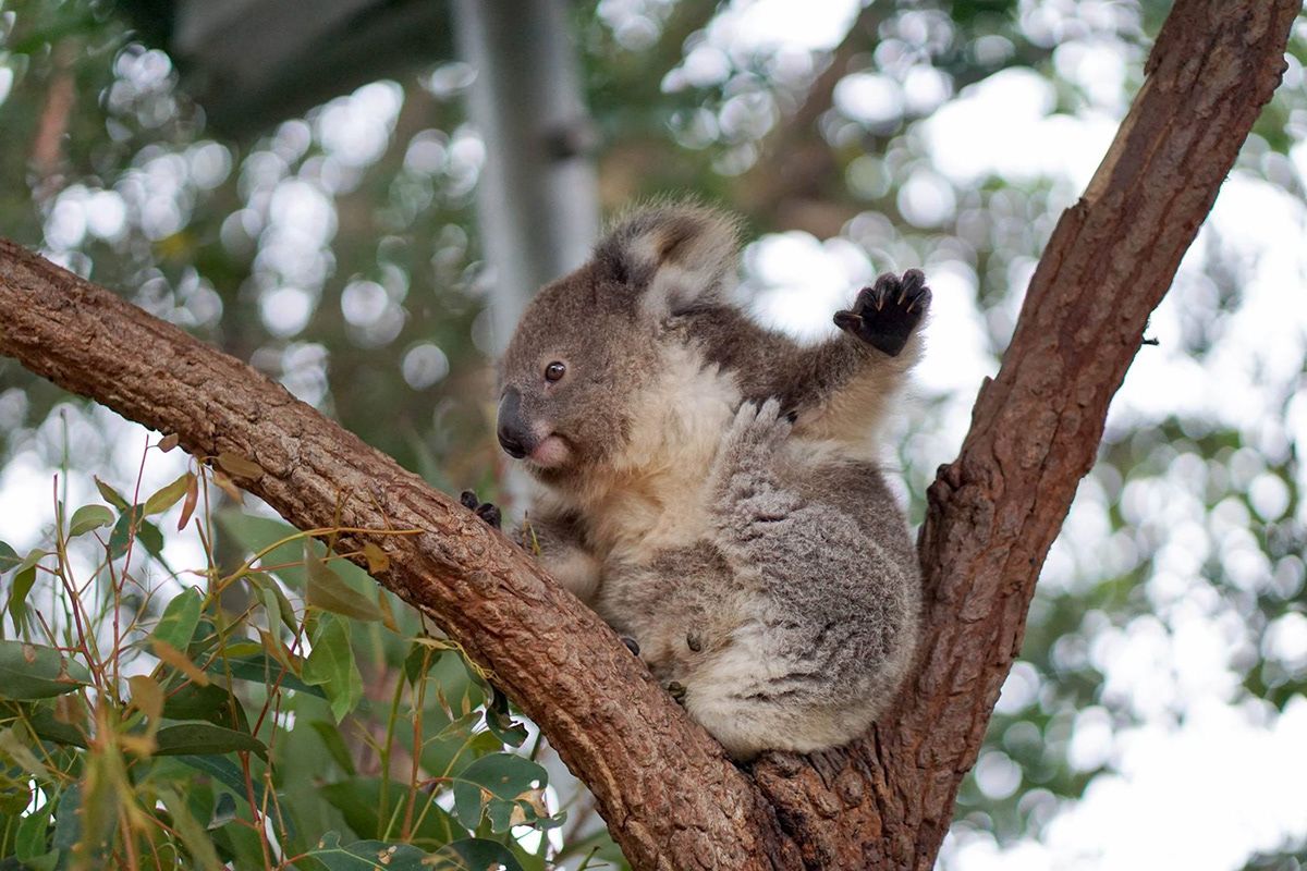 Sydney, Australia. Photograph by Jonathan Byrne.