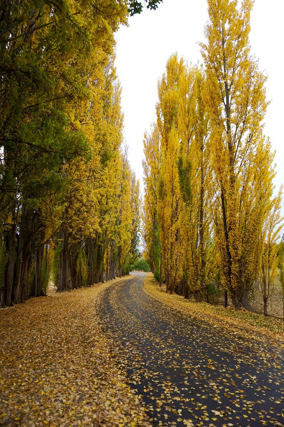 Tasmania, Australia. Photograph by Jonathan Byrne.