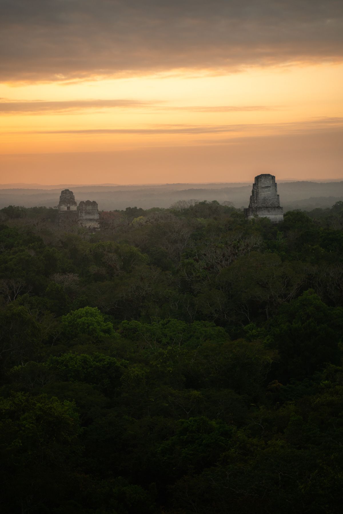 Tikal, Guatemala. Photograph by Jonathan Byrne.