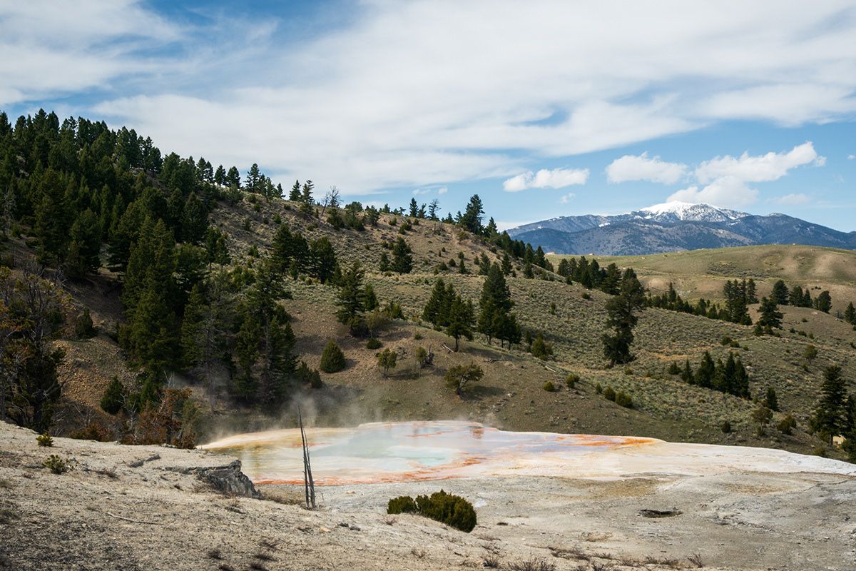 Yellowstone, USA. Photograph by Jonathan Byrne.