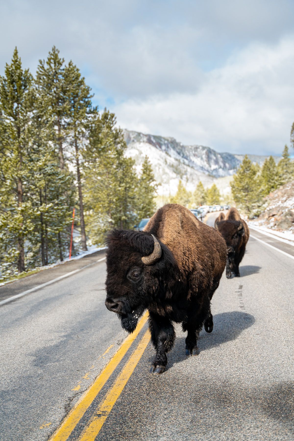 Yellowstone, USA. Photograph by Jonathan Byrne.