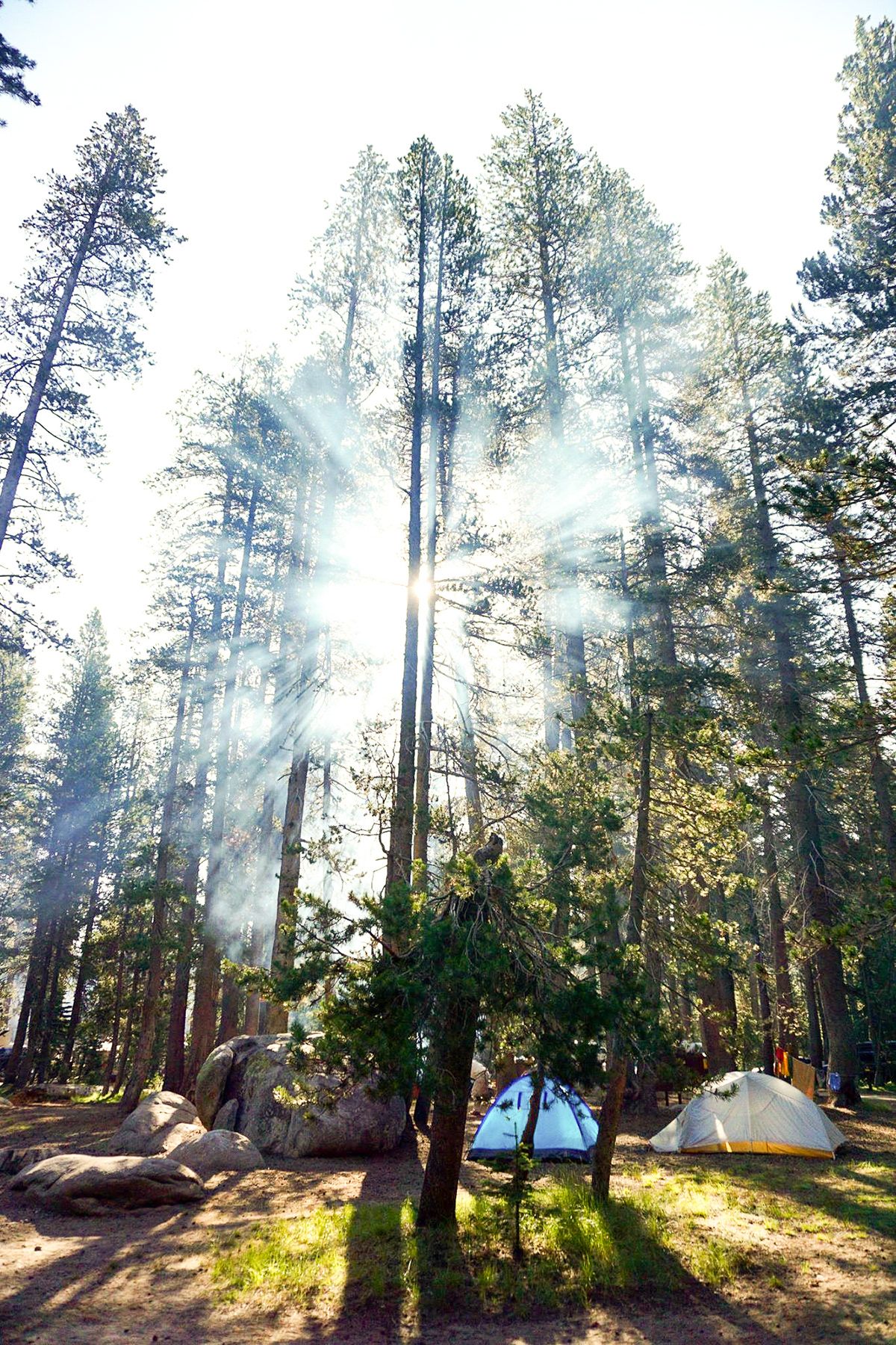Yosemite, USA. Photograph by Jonathan Byrne.