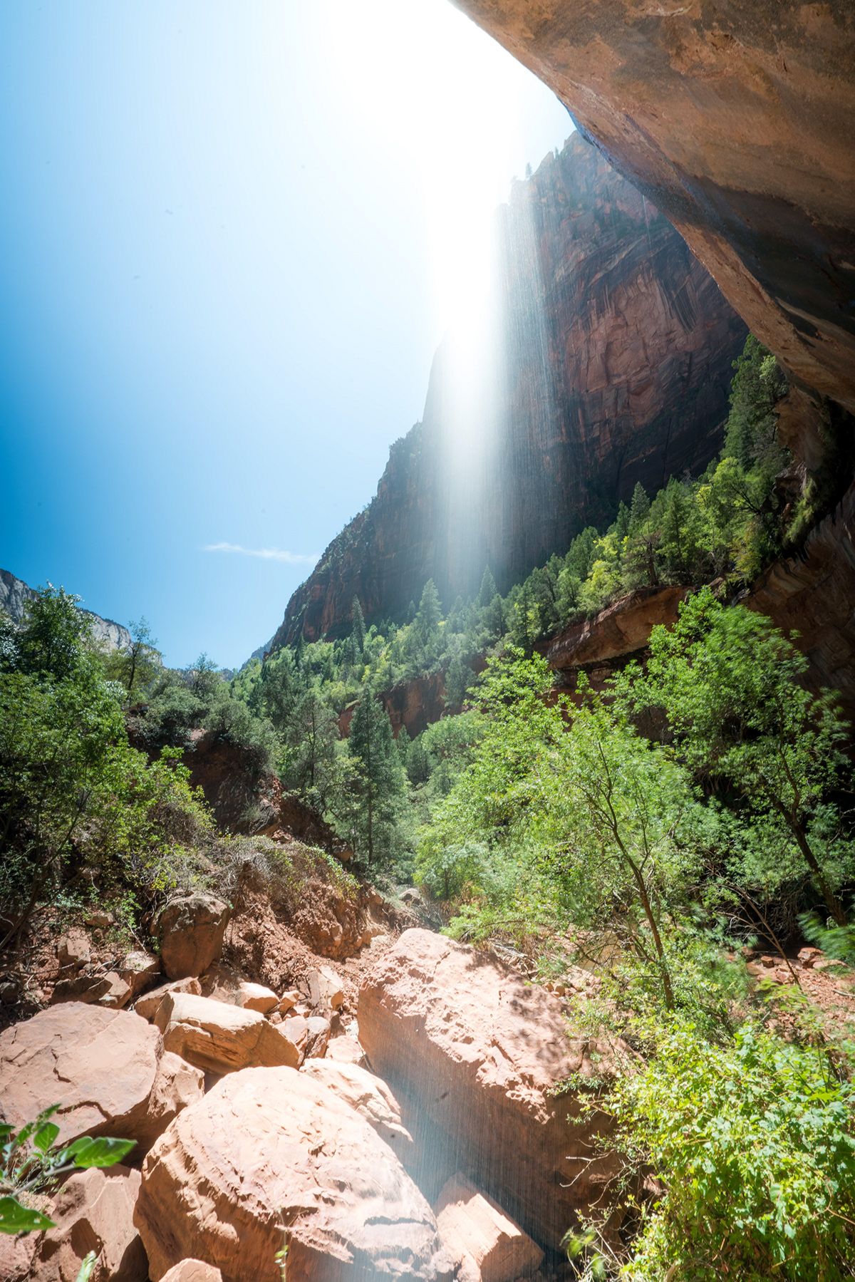 Zion, USA. Photograph by Jonathan Byrne.
